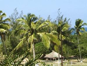 Coconut Bay